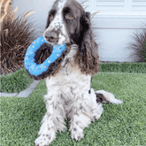 Nuggle Donut-Unclassified-Rover Pet Products